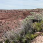 2023OTRA_655 (May 07, 2023)